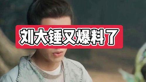 刘大锤爆料情侣是谁呀视频,视频曝光的神秘情侣身份大猜想 第3张 刘大锤爆料情侣是谁呀视频,视频曝光的神秘情侣身份大猜想 第3张